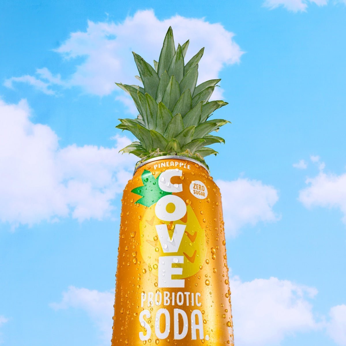 Cove Pineapple can topped with a leafy pineapple crown against a bright blue summer sky